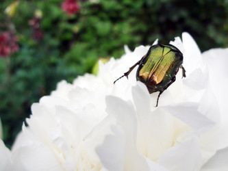 Similar image 1304129