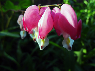 Similar image 1304133