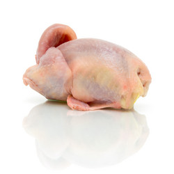 Similar image 1304150