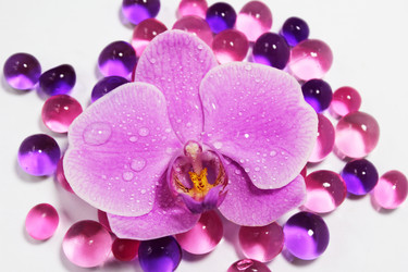 Similar image 1304151