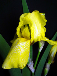 Similar image 1304184