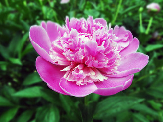 Similar image 1304185