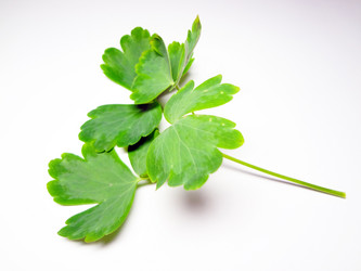 Similar image 1304187