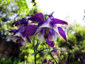 Similar image 1304192