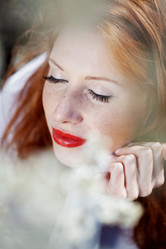 Similar image 1304279