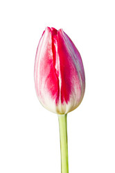 Similar image 1304307