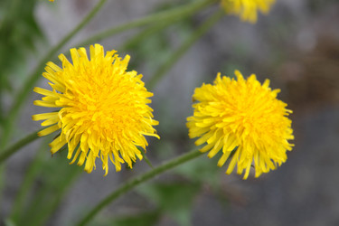 Similar image 1304354