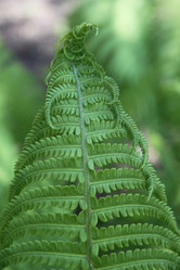 Similar image 1304355