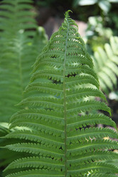 Similar image 1304356