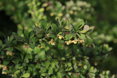 Similar image 1304357