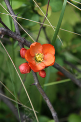 Similar image 1304359