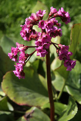 Similar image 1304361