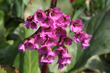 Similar image 1304362