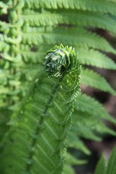 Similar image 1304363