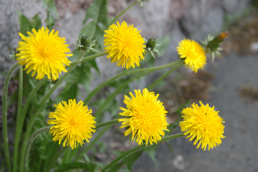 Similar image 1304366