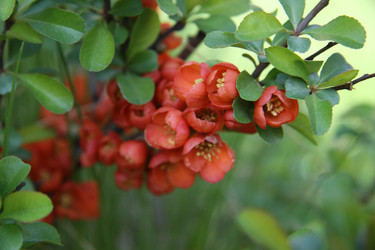 Similar image 1304368