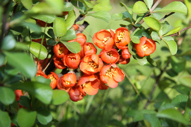 Similar image 1304369