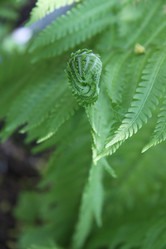 Similar image 1304371