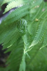 Similar image 1304372