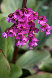 Similar image 1304374