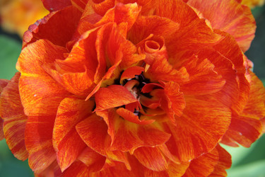 Similar image 1304376