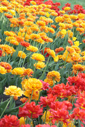 Similar image 1304377