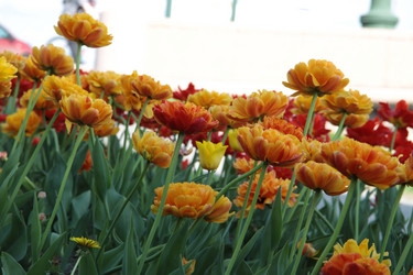 Similar image 1304383