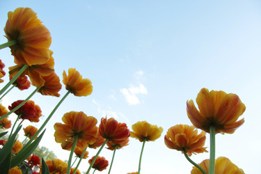 Similar image 1304384