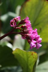 Similar image 1304386