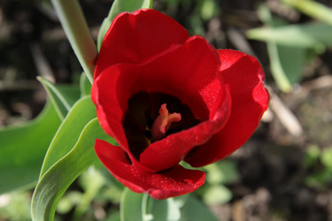 Similar image 1304388