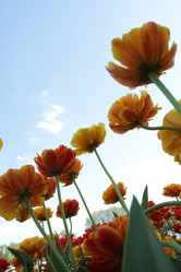 Similar image 1304392