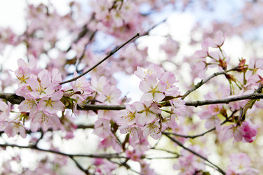 Similar image 1304394