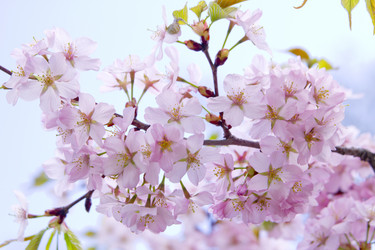 Similar image 1304401