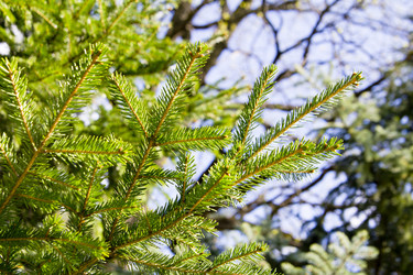 Similar image 1304403