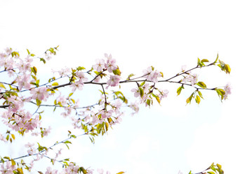 Similar image 1304404