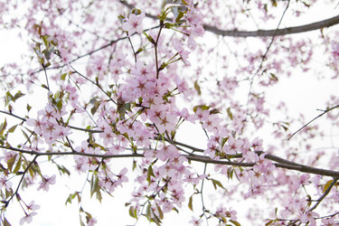 Similar image 1304405