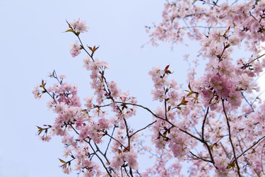 Similar image 1304407