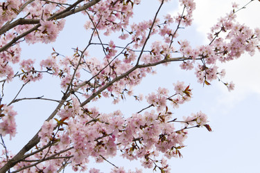 Similar image 1304408