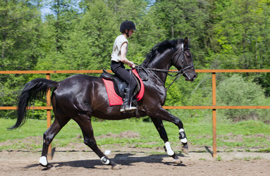 Similar image 1304422