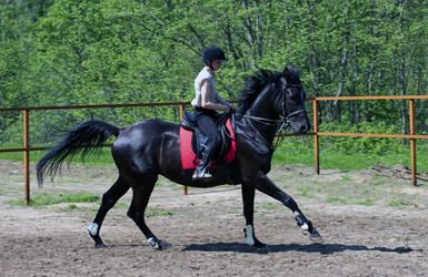 Similar image 1304423