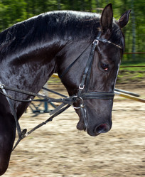 Similar image 1304424