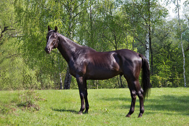 Similar image 1304428