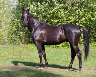 Similar image 1304429