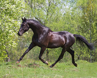 Similar image 1304430