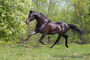 Similar image 1304432