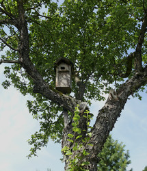 Similar image 1304468