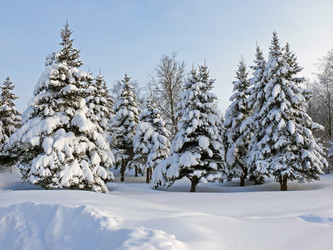 Similar image 1304473