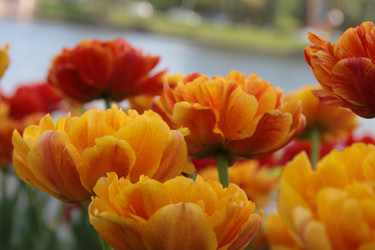 Similar image 1304486