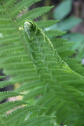 Similar image 1304487