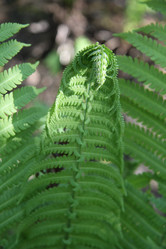 Similar image 1304488